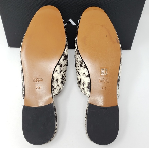 Brand New Coach Flat Shoes Snakeskin MSRP $195 - Picture 4 of 6
